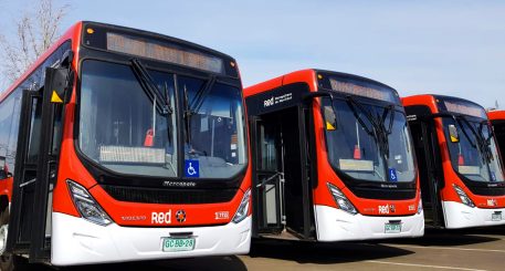 Flota de buses Red
