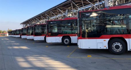 Flota de buses red