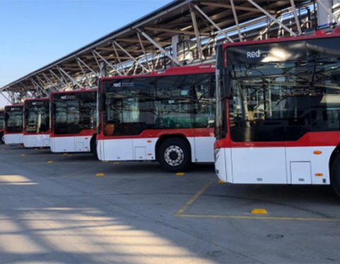 Flota de buses red