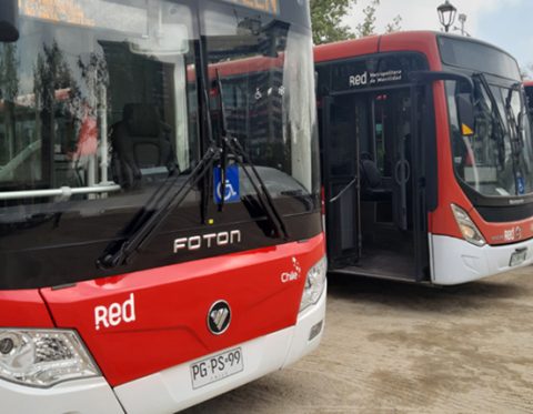 Buses Red