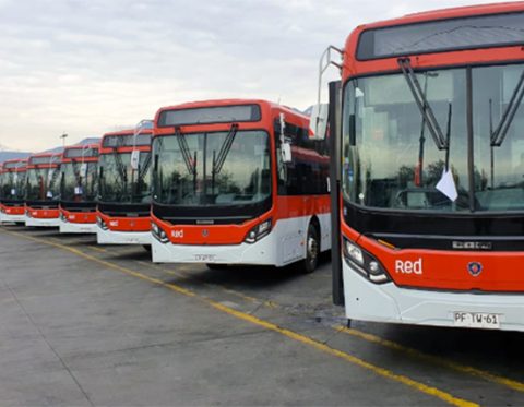 Flota de buses Red