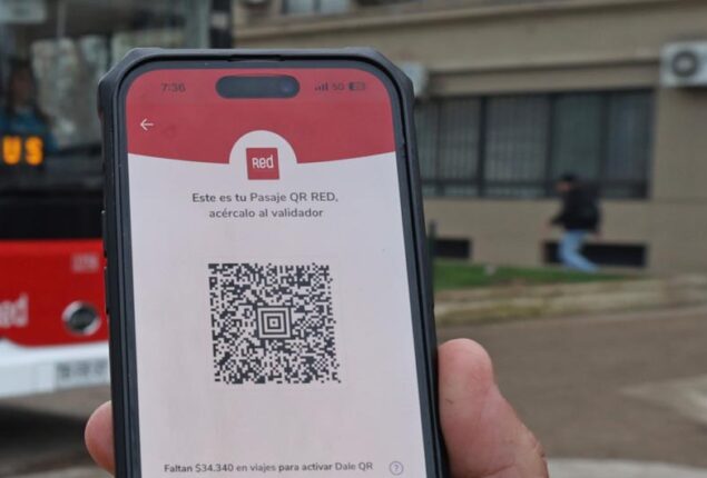 “DaleQR”: hubo más de 2,6 millones de viajes gratis en el transporte público durante 2024